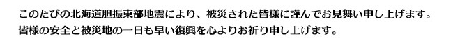 お見舞い文